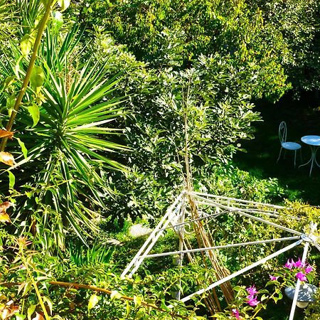 Les Petits Poissons Bed & Breakfast Avignon Room photo