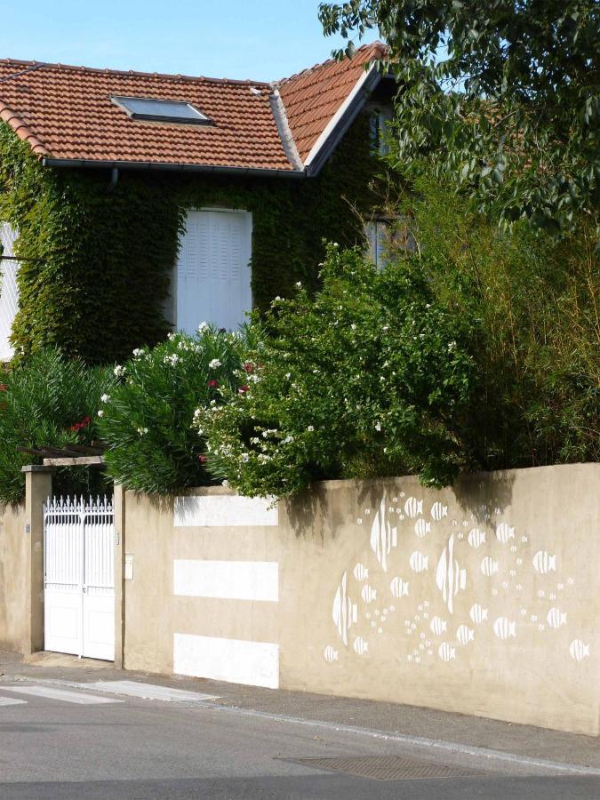 Les Petits Poissons Bed & Breakfast Avignon Exterior photo