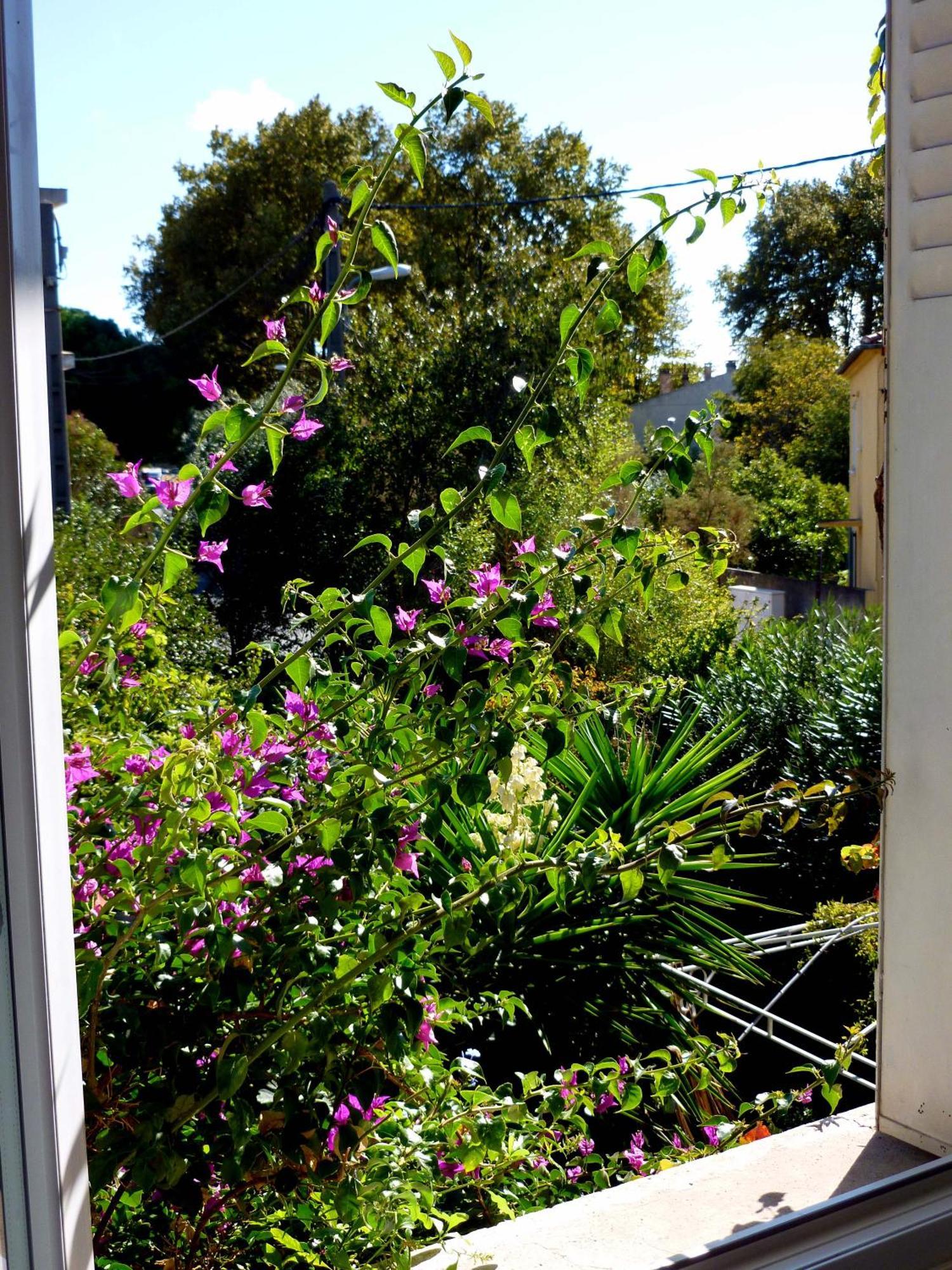 Les Petits Poissons Bed & Breakfast Avignon Room photo